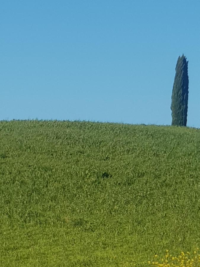 Casa Per L'Osticcio Vista Sulla Val D'Orcia Apartman Montalcino Kültér fotó