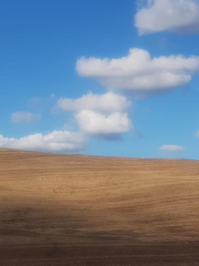 Casa Per L'Osticcio Vista Sulla Val D'Orcia Apartman Montalcino Kültér fotó