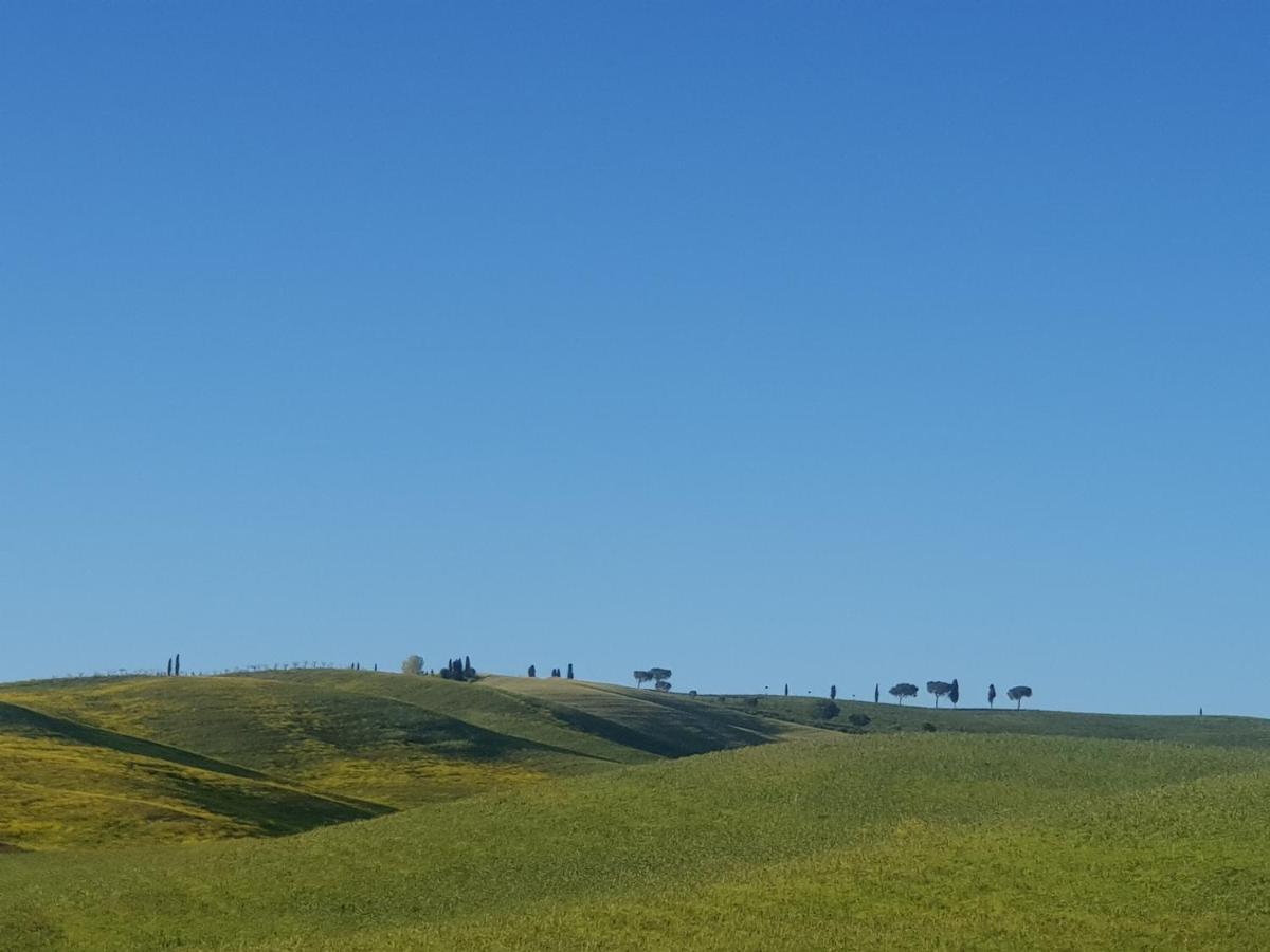 Casa Per L'Osticcio Vista Sulla Val D'Orcia Apartman Montalcino Kültér fotó