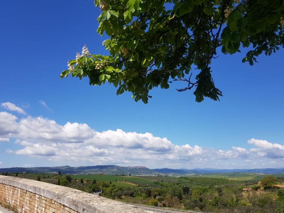 Casa Per L'Osticcio Vista Sulla Val D'Orcia Apartman Montalcino Kültér fotó