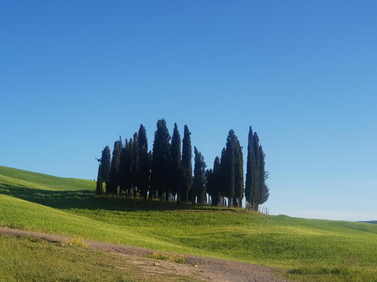 Casa Per L'Osticcio Vista Sulla Val D'Orcia Apartman Montalcino Kültér fotó