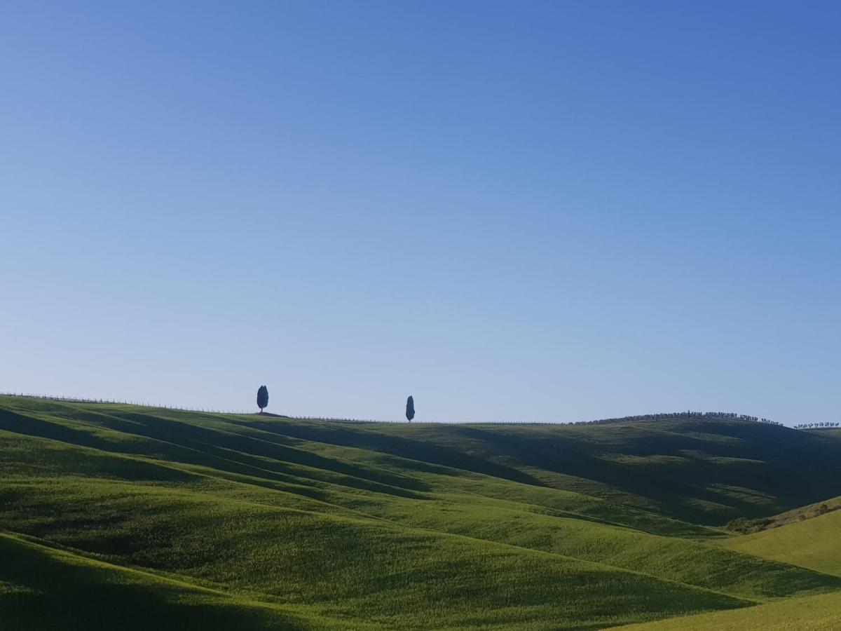 Casa Per L'Osticcio Vista Sulla Val D'Orcia Apartman Montalcino Kültér fotó