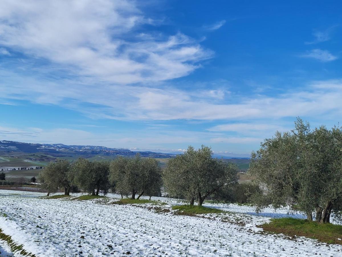 Casa Per L'Osticcio Vista Sulla Val D'Orcia Apartman Montalcino Kültér fotó