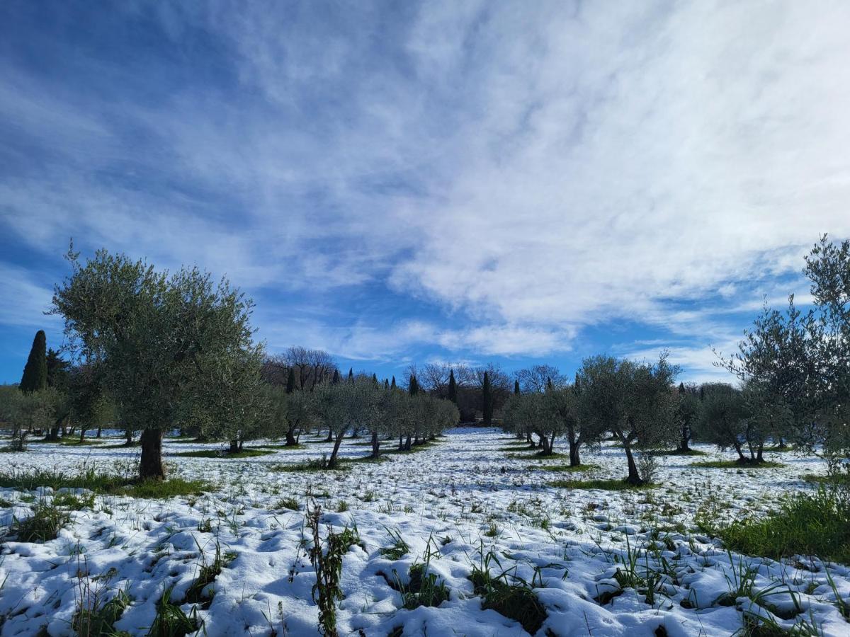 Casa Per L'Osticcio Vista Sulla Val D'Orcia Apartman Montalcino Kültér fotó